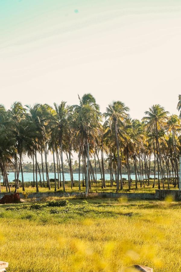 Casa Seriguela - Praia Do Patacho - Rota Ecologica Dos Milagres Pôrto de Pedras Екстериор снимка