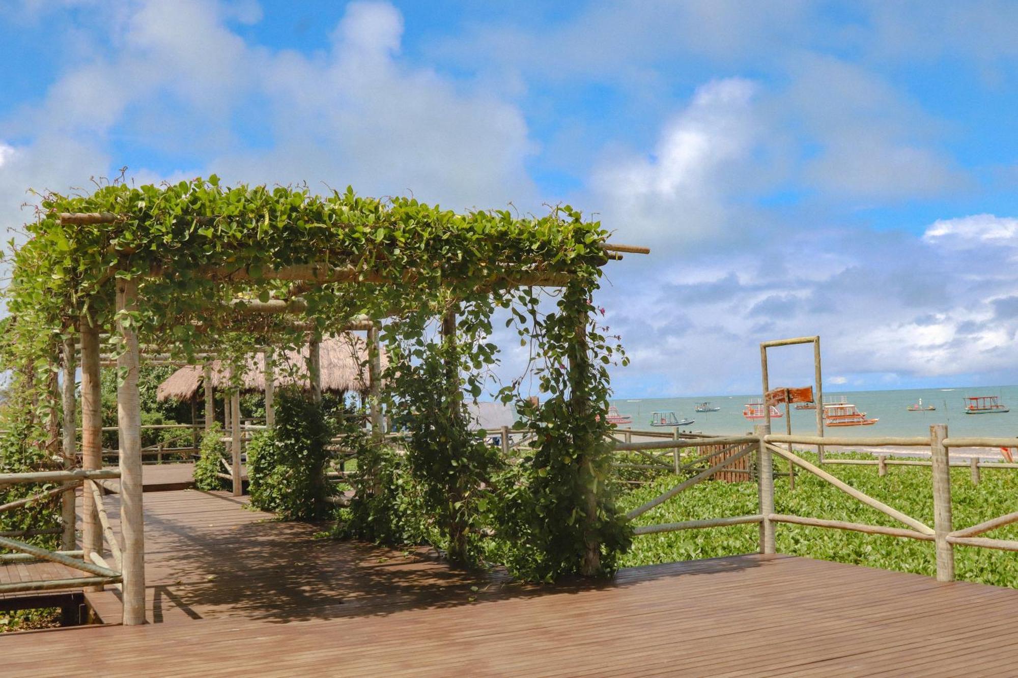 Casa Seriguela - Praia Do Patacho - Rota Ecologica Dos Milagres Pôrto de Pedras Екстериор снимка